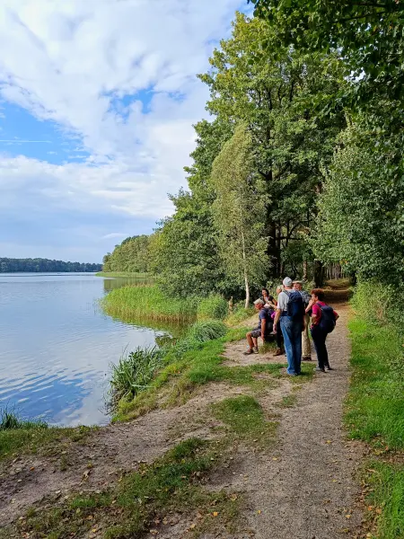 202509210-23 - Großer Müllroser See bei Müllrose, Seenland Oder-Spree, Brandenburg, Deutschland