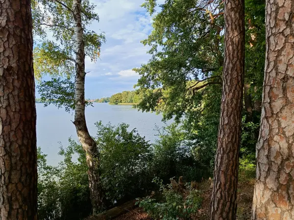 202509210-25 - Großer Müllroser See bei Müllrose, Seenland Oder-Spree, Brandenburg, Deutschland