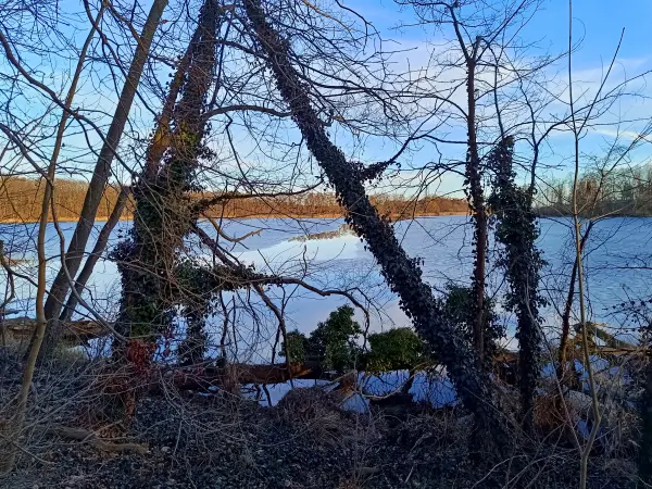 202603020-28 - Großer Plessower See bei Werder, Havelland, Brandenburg, Deutschland