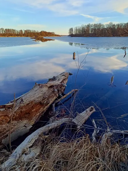 202603020-29 - Großer Plessower See bei Werder, Havelland, Brandenburg, Deutschland
