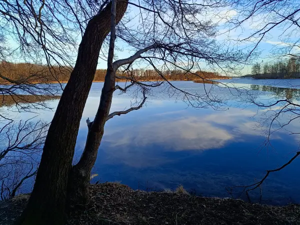 202603020-30 - Großer Plessower See bei Werder, Havelland, Brandenburg, Deutschland