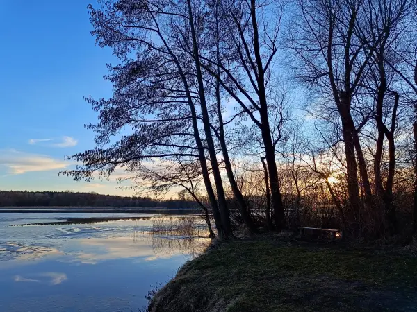 202603020-33 - Großer Plessower See bei Werder, Havelland, Brandenburg, Deutschland