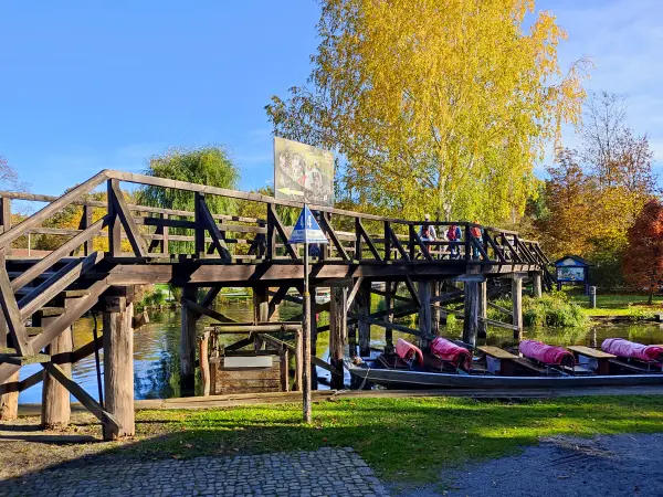 202311040-08 - Großer Spreewaldhafen in Lübbenau, Spreewald, Brandenburg, Deutschland
