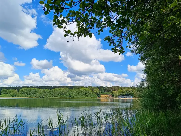 202606060-23 - Großer Weißer See bei Wesenberg, Mecklenburgische Seenplatte, Mecklenburg-Vorpommern, Deutschland
