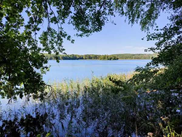 202309160-22 - Grubensee bei Limsdorf, Seenland Oder-Spree, Brandenburg, Deutschland