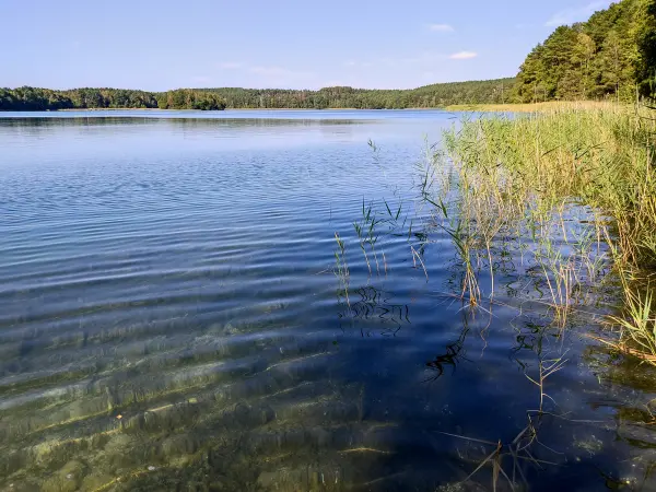 202309160-23 - Grubensee bei Limsdorf, Seenland Oder-Spree, Brandenburg, Deutschland