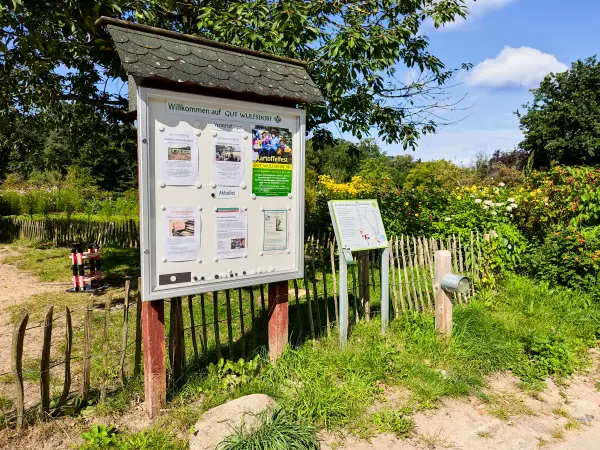 202308230-16 - Gut Wulfsdorf bei Ahrensburg, Schleswig-Holstein, Deutschland