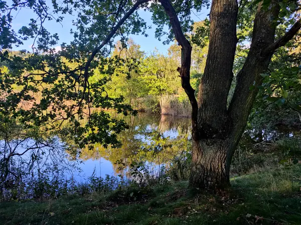 202309241-08 - Haarteich in der Boberger Niederung, Hamburg, Deutschland