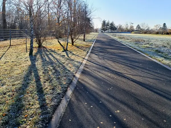 202511220-07 - Hans-Baluschek-Park in Schöneberg, Berlin, Deutschland