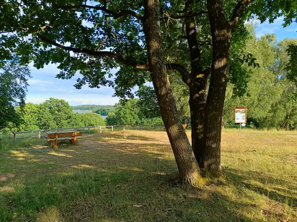202606090-16 - Hauptmannsberg bei Carwitz, Mecklenburgische Seenplatte, Mecklenburg-Vorpommern, Deutschland