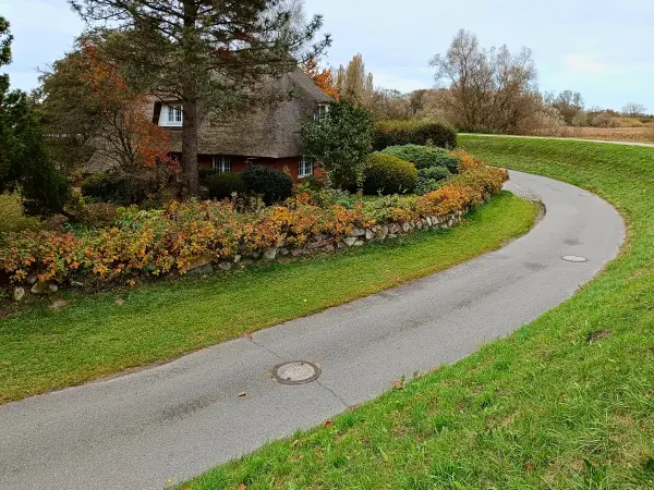 202410210-16 - Haus an der Ilmenau-Luhe-Niederung bei Winsen (Luhe), Lüneburger Heide, Niedersachsen, Deutschland