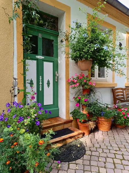 202508110-31 - Hauseingang mit Blumenkübeln in Rheinsberg, Ruppiner Seenland, Brandenburg, Deutschland
