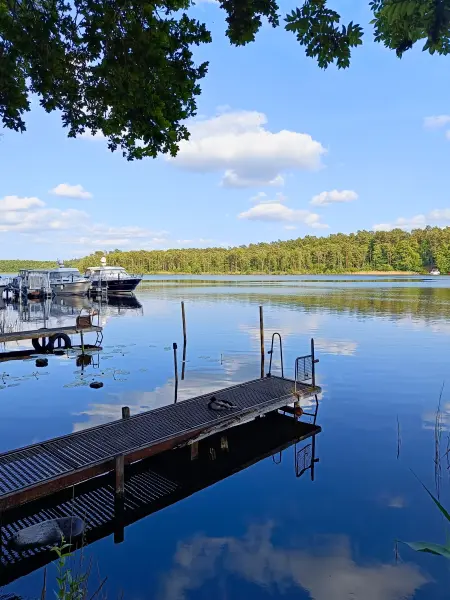 202506110-46 - Haussee bei Himmelpfort, Ruppiner Seenland, Brandenburg, Deutschland