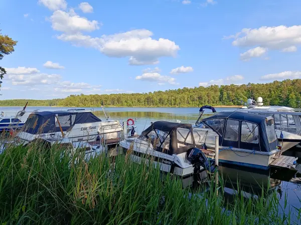 202506110-47 - Haussee bei Himmelpfort, Ruppiner Seenland, Brandenburg, Deutschland