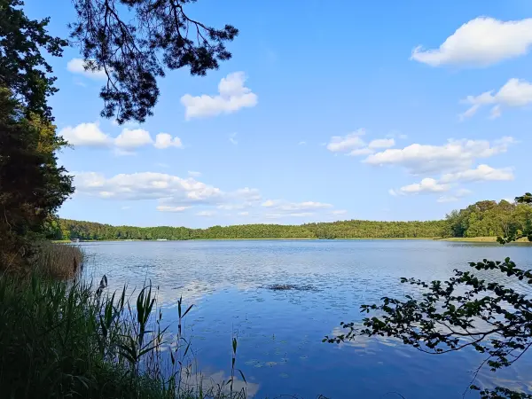 202506110-49 - Haussee bei Himmelpfort, Ruppiner Seenland, Brandenburg, Deutschland