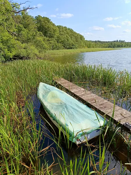 202506110-20 - Haussee bei Pian, Ruppiner Seenland, Brandenburg, Deutschland