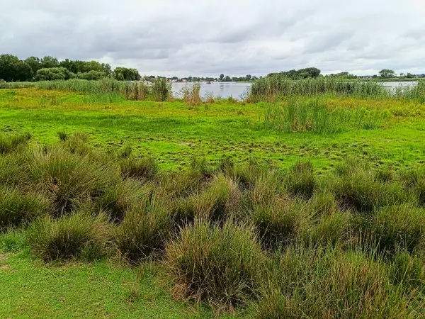 202507260-05 - Havel bei Kützkow, Havelland, Brandenburg, Deutschland
