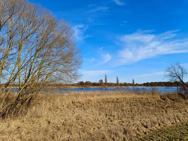202603020-15 - Havel bei Phöben, Havelland, Brandenburg, Deutschland