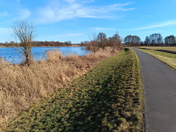 202603020-16 - Havel bei Phöben, Havelland, Brandenburg, Deutschland