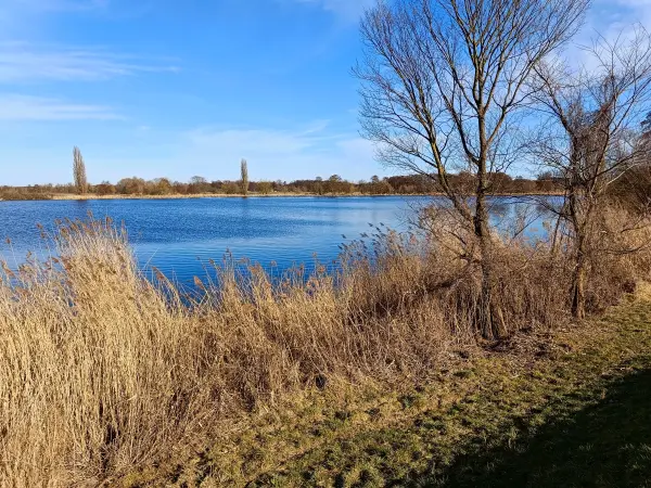 202603020-17 - Havel bei Phöben, Havelland, Brandenburg, Deutschland