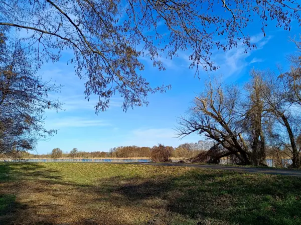 202603020-18 - Havel bei Phöben, Havelland, Brandenburg, Deutschland