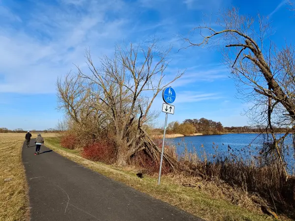 202603020-19 - Havel bei Phöben, Havelland, Brandenburg, Deutschland