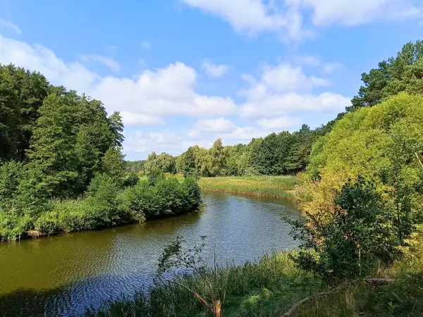 202508160-06 - Havel in der Kleinen Schorfheide, Uckermark, Brandenburg, Deutschland