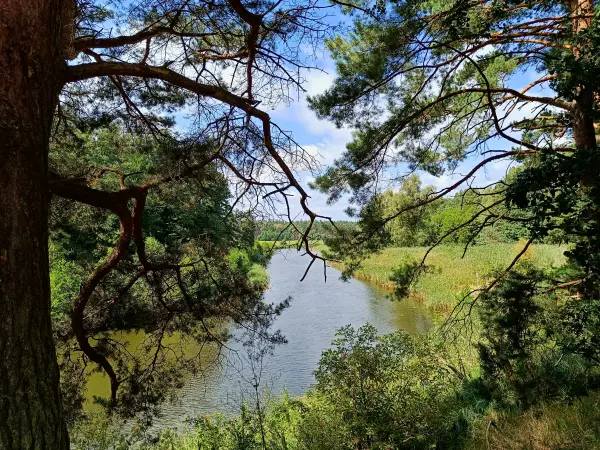 202508160-07 - Havel in der Kleinen Schorfheide, Uckermark, Brandenburg, Deutschland