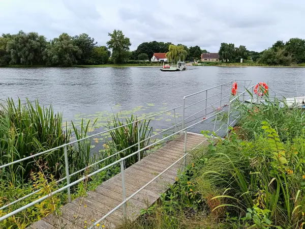 202507260-03 - Havel mit Havelfähre bei Pritzerbe, Havelland, Brandenburg, Deutschland