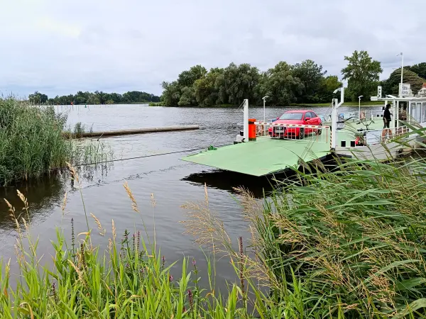 202507260-04 - Havel mit Havelfähre bei Pritzerbe, Havelland, Brandenburg, Deutschland