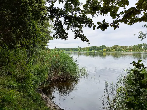 202507260-07 - Havel zwischen Pritzerbe und Plaue, Havelland, Brandenburg, Deutschland