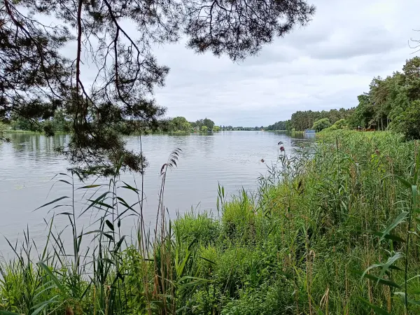202507260-15 - Havel zwischen Pritzerbe und Plaue, Havelland, Brandenburg, Deutschland