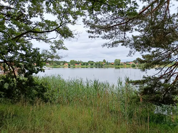 202507260-16 - Havel zwischen Pritzerbe und Plaue, Havelland, Brandenburg, Deutschland