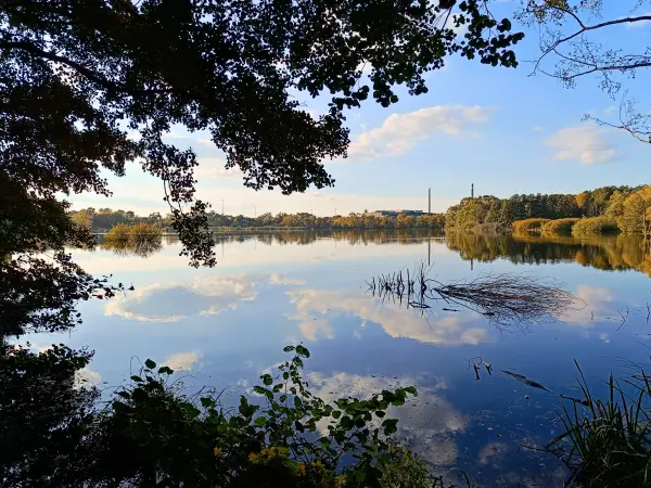 202510030-25 - Havelauen bei Hennigsdorf, Barnimer Land, Brandenburg, Deutschland