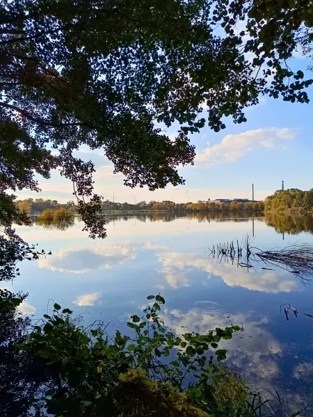 202510030-26 - Havelauen bei Hennigsdorf, Barnimer Land, Brandenburg, Deutschland
