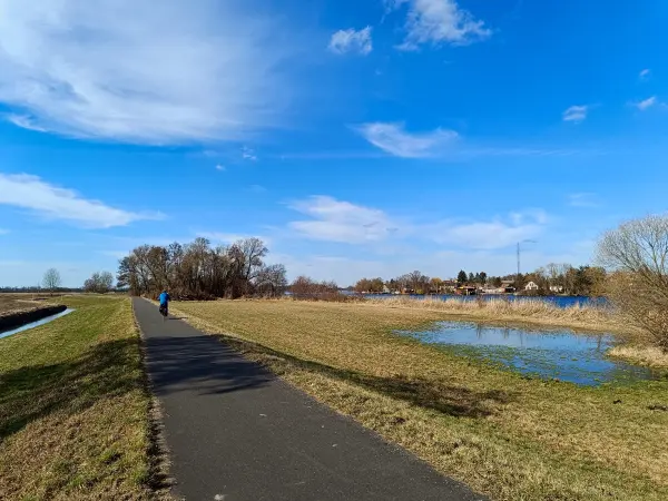 202603020-13 - Haveldeich bei Ketzin, Havelland, Brandenburg, Deutschland