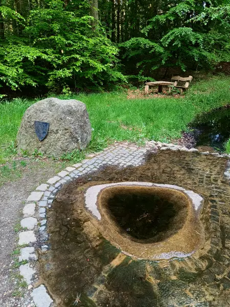 202505130-34 - Havelquelle im Müritz-Nationalpark, Mecklenburgische Seenplatte, Mecklenburg-Vorpommern, Deutschland
