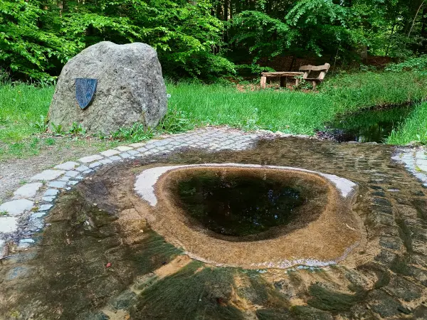 202505130-35 - Havelquelle im Müritz-Nationalpark, Mecklenburgische Seenplatte, Mecklenburg-Vorpommern, Deutschland