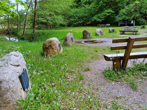 202505130-36 - Havelquelle im Müritz-Nationalpark, Mecklenburgische Seenplatte, Mecklenburg-Vorpommern, Deutschland