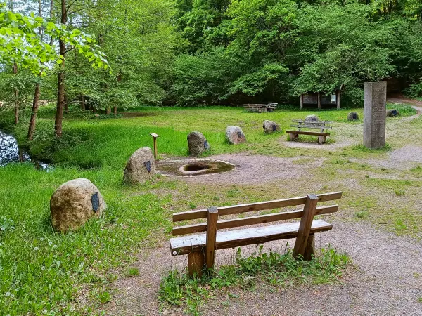 202505130-38 - Havelquelle im Müritz-Nationalpark, Mecklenburgische Seenplatte, Mecklenburg-Vorpommern, Deutschland
