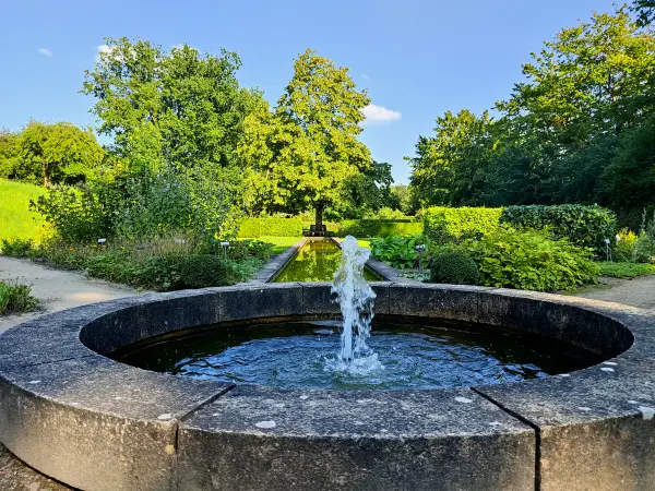 202308181-19 - Heilpflanzengarten in Celle, Lüneburger Heide, Niedersachsen, Deutschland