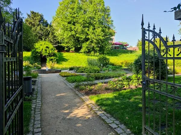 202308181-20 - Heilpflanzengarten in Celle, Lüneburger Heide, Niedersachsen, Deutschland