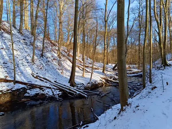 202502150-10 - Hellmühler Fließ im Biesenthaler Becken, Barnimer Land, Brandenburg, Deutschland