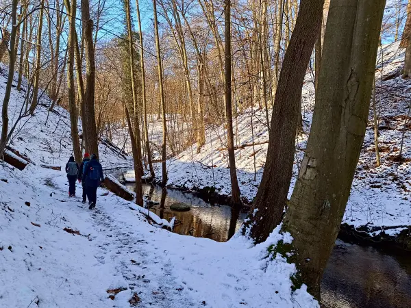 202502150-11 - Hellmühler Fließ im Biesenthaler Becken, Barnimer Land, Brandenburg, Deutschland