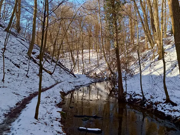 202502150-12 - Hellmühler Fließ im Biesenthaler Becken, Barnimer Land, Brandenburg, Deutschland