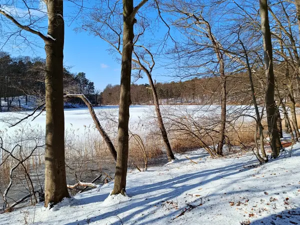 202502150-15 - Hellsee im Biesenthaler Becken, Barnimer Land, Brandenburg, Deutschland