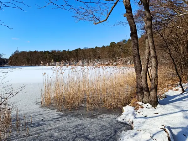 202502150-16 - Hellsee im Biesenthaler Becken, Barnimer Land, Brandenburg, Deutschland