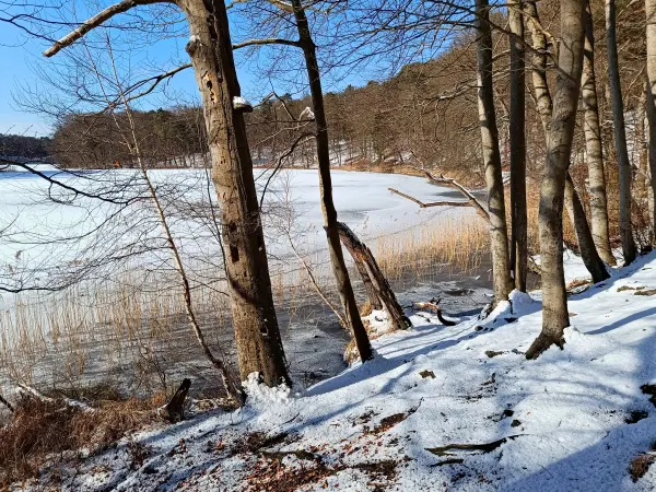 202502150-17 - Hellsee im Biesenthaler Becken, Barnimer Land, Brandenburg, Deutschland