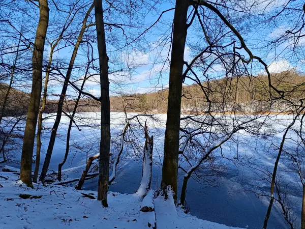 202502150-22 - Hellsee im Biesenthaler Becken, Barnimer Land, Brandenburg, Deutschland