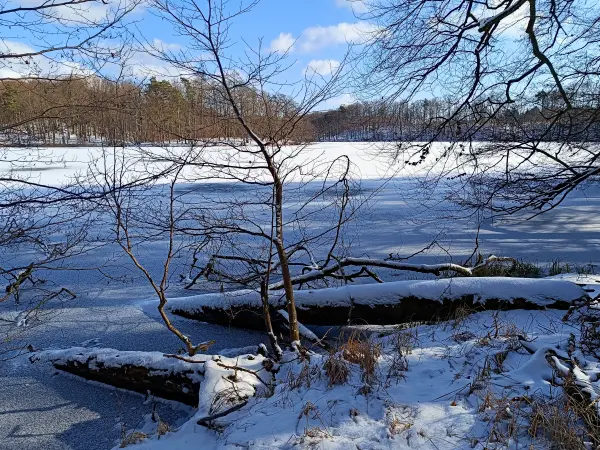 202502150-23 - Hellsee im Biesenthaler Becken, Barnimer Land, Brandenburg, Deutschland
